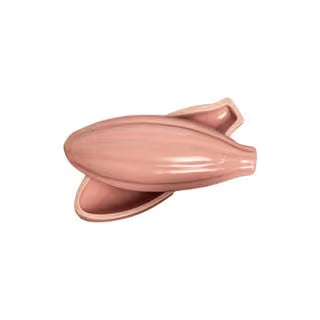 Cocoa Pod